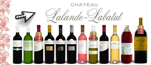 chateau en direct chateau en direct