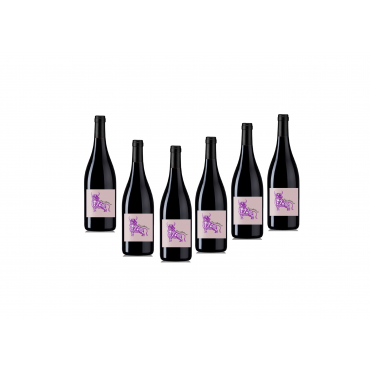 6 X "Cuvée Salleboeuf" rouge