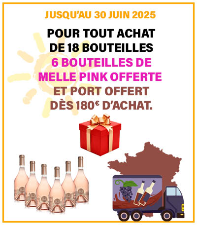 Offres été 2025